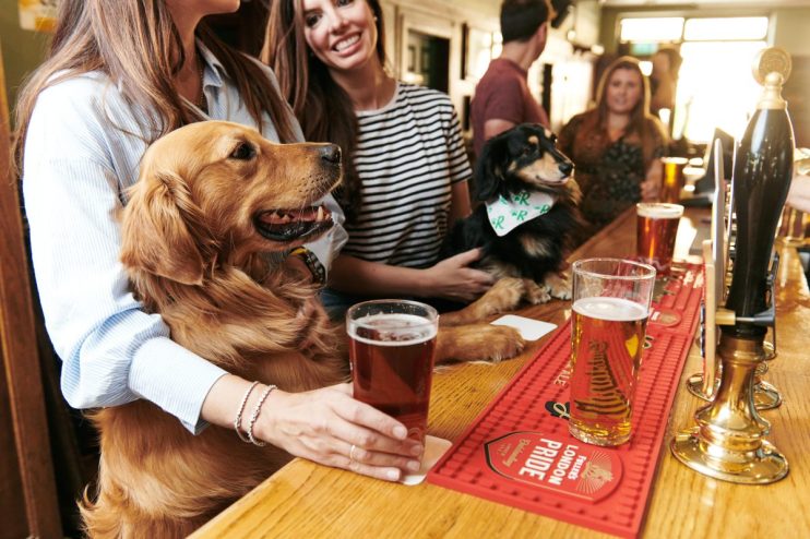 Barking mad! Here is how you can get paid to go the pub