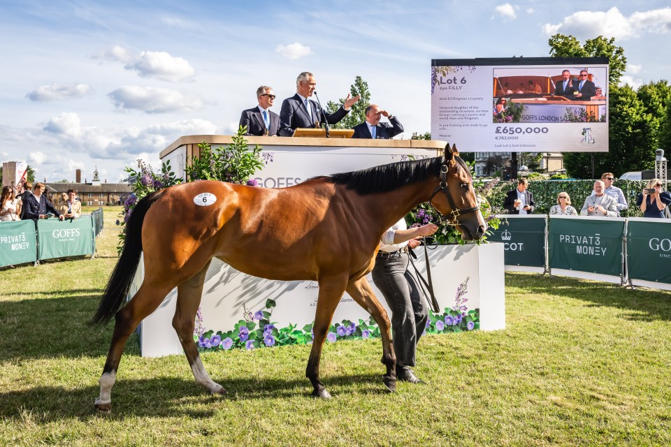 Inside London’s most exclusive thoroughbred sale – where horses change hands for millions