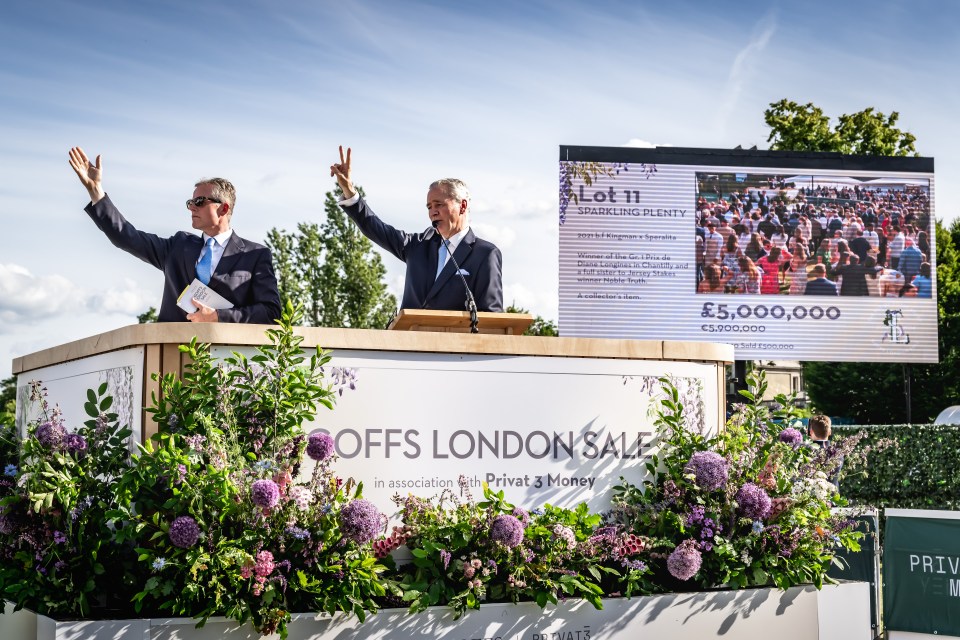 Inside London’s most exclusive thoroughbred sale – where horses change hands for millions