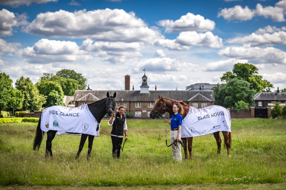 Inside London’s most exclusive thoroughbred sale – where horses change hands for millions