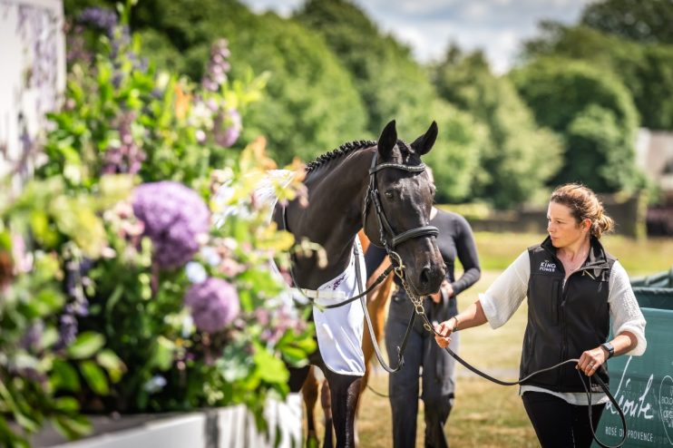 Inside London’s most exclusive thoroughbred sale – where horses change hands for millions