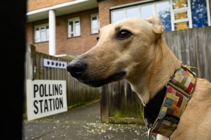 Election 2024: Polling station dos and don’ts – from dogs to selfies 