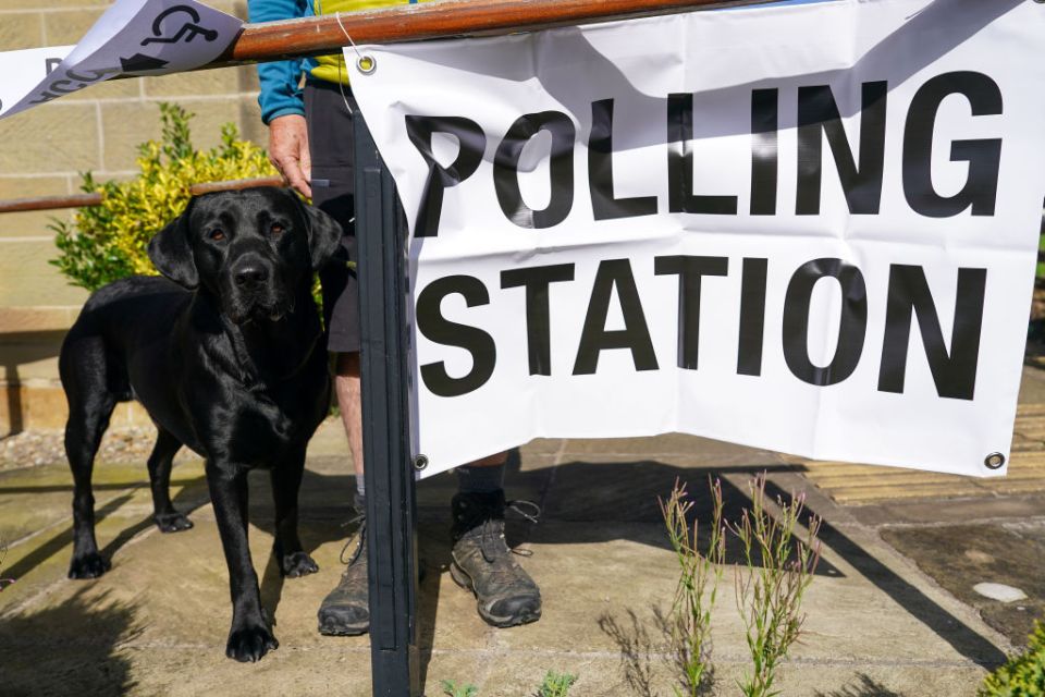 Five of the best good boys (and girls) at polling stations