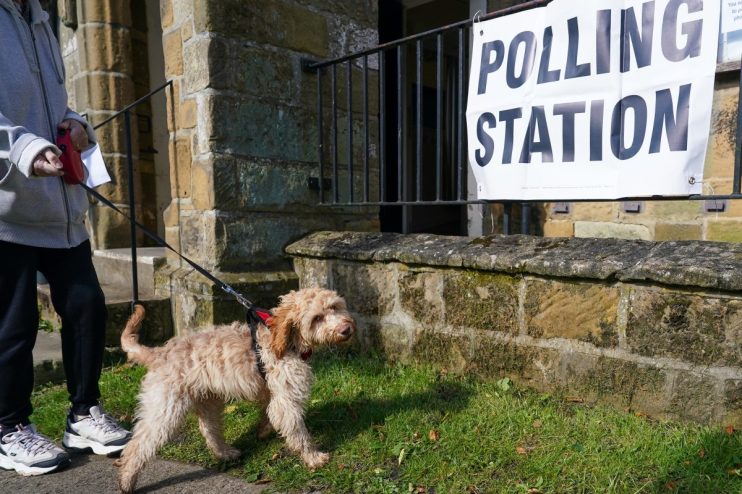 Five of the best good boys (and girls) at polling stations