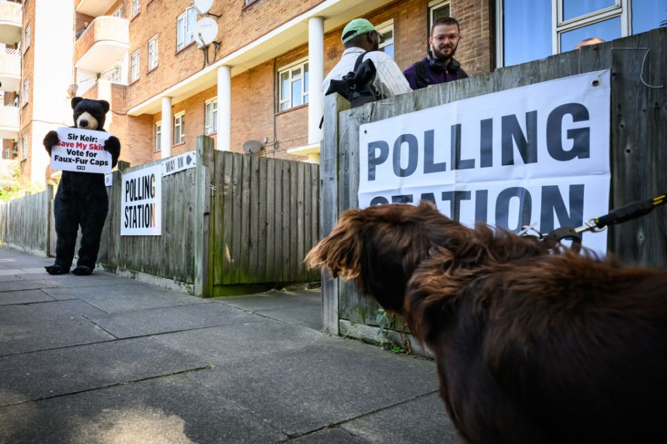 Five of the best good boys (and girls) at polling stations