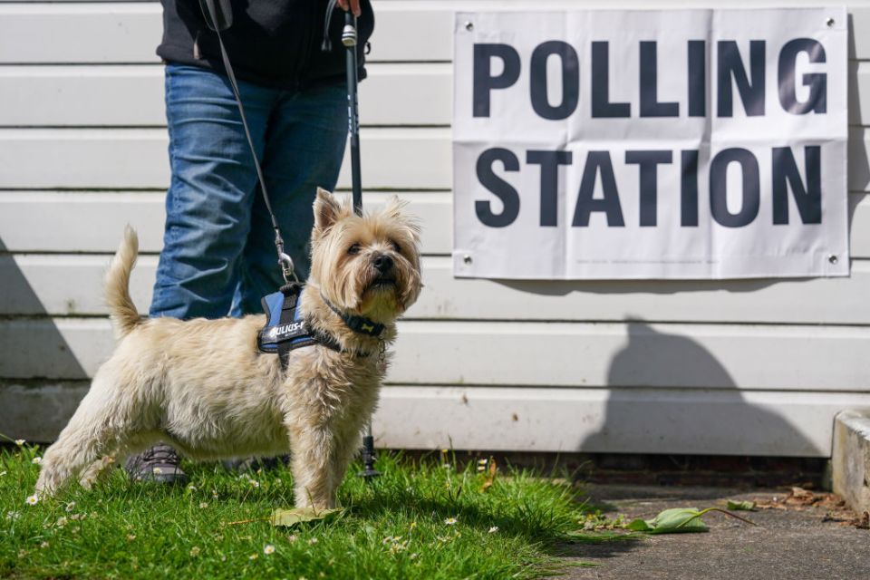 Five of the best good boys (and girls) at polling stations