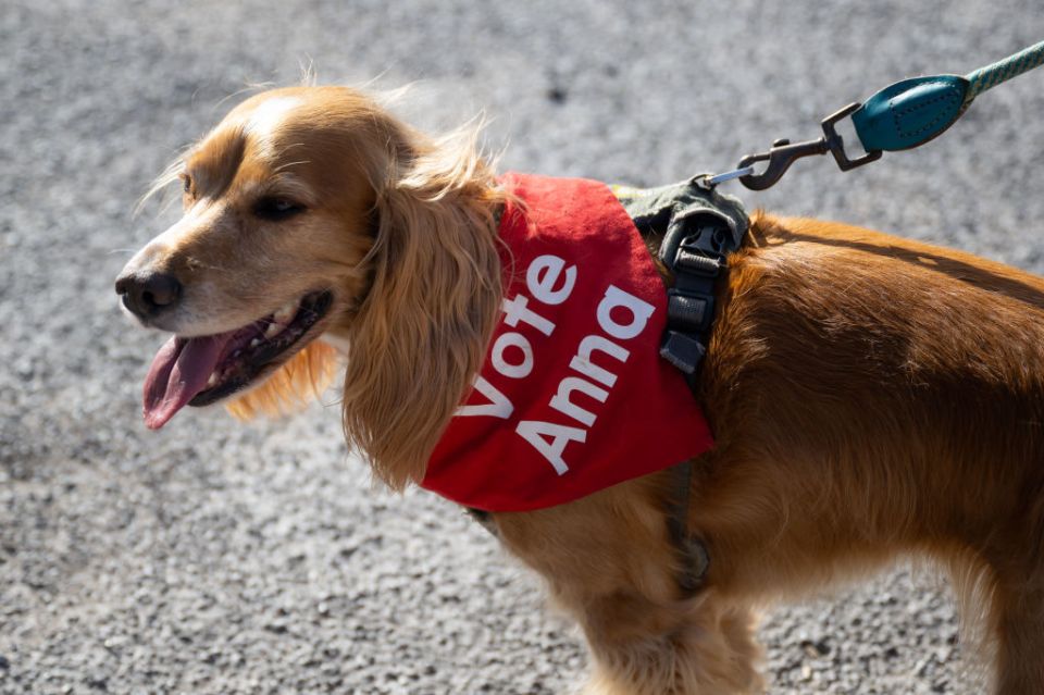 Five of the best good boys (and girls) at polling stations