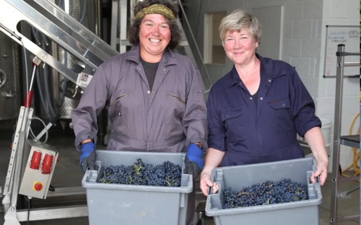 Waitrose wine favourite puts vineyard up for sale